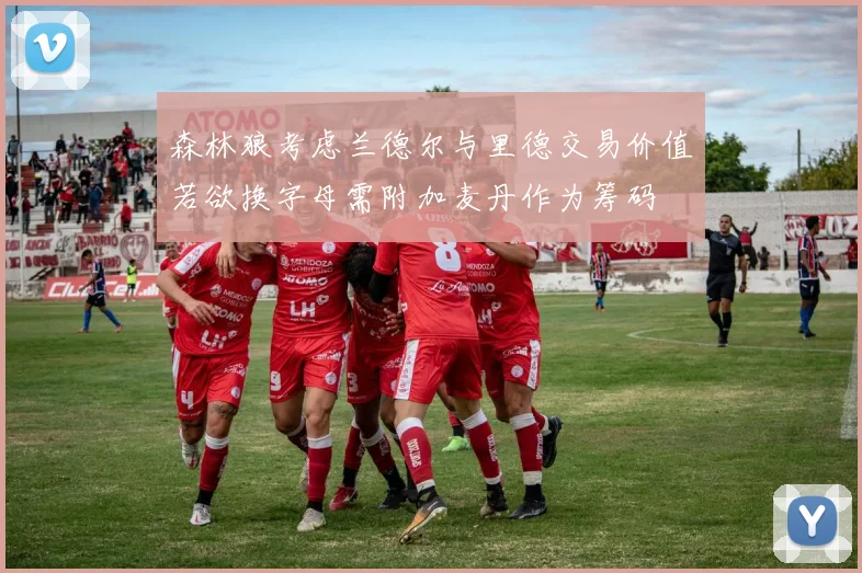 森林狼考虑兰德尔与里德交易价值若欲换字母需附加麦丹作为筹码